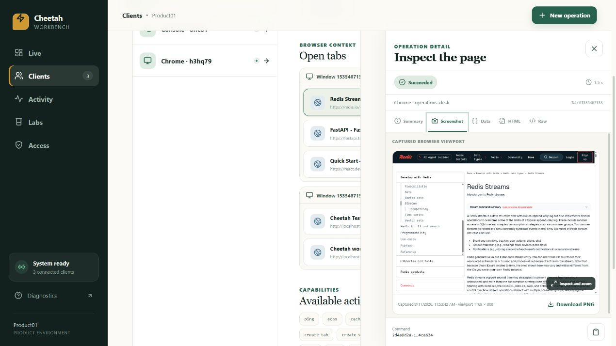 An operation detail panel showing a succeeded page inspection with the captured browser viewport, and tabs for summary, screenshot, data, HTML and raw response